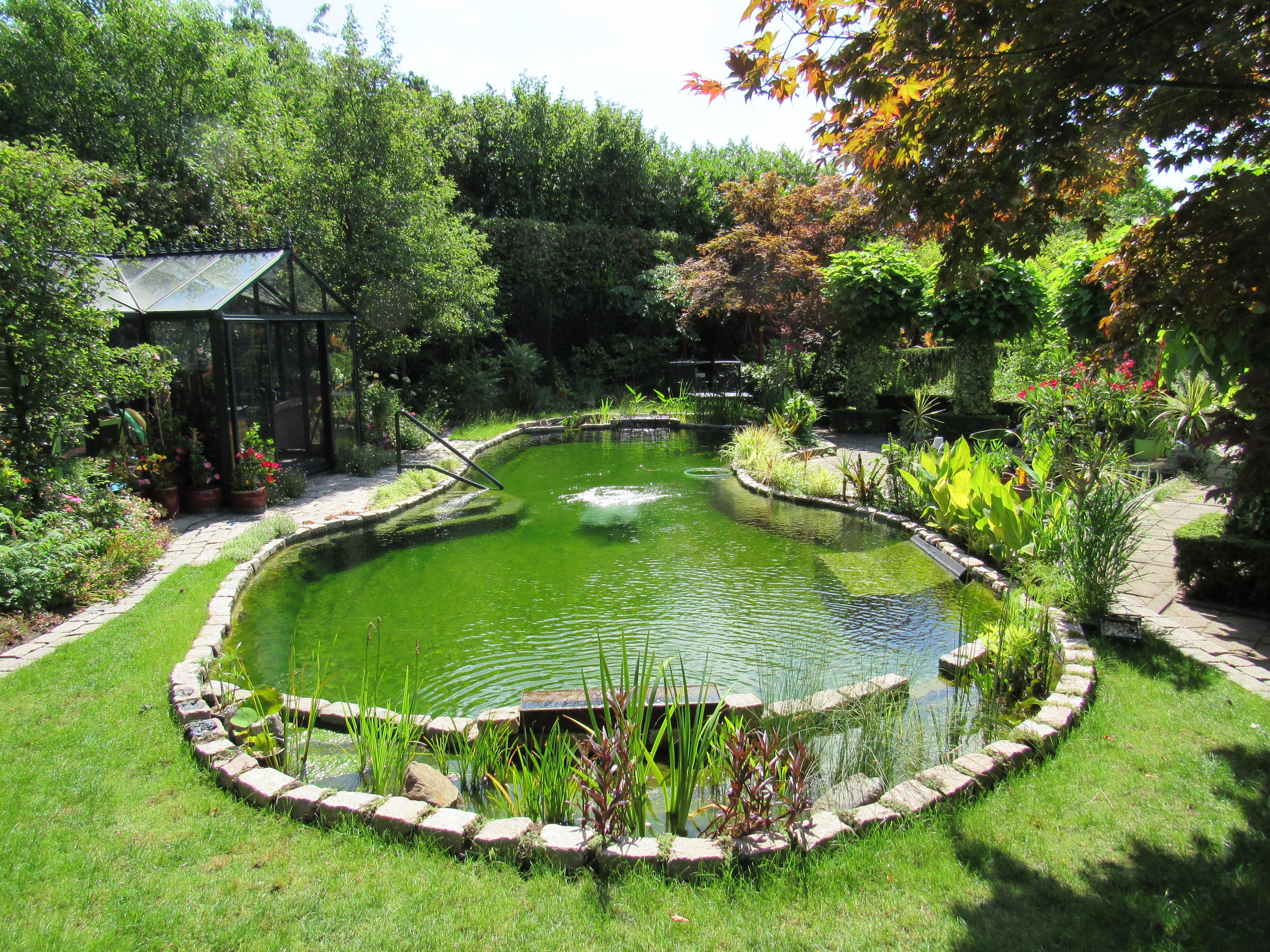 Organical pond