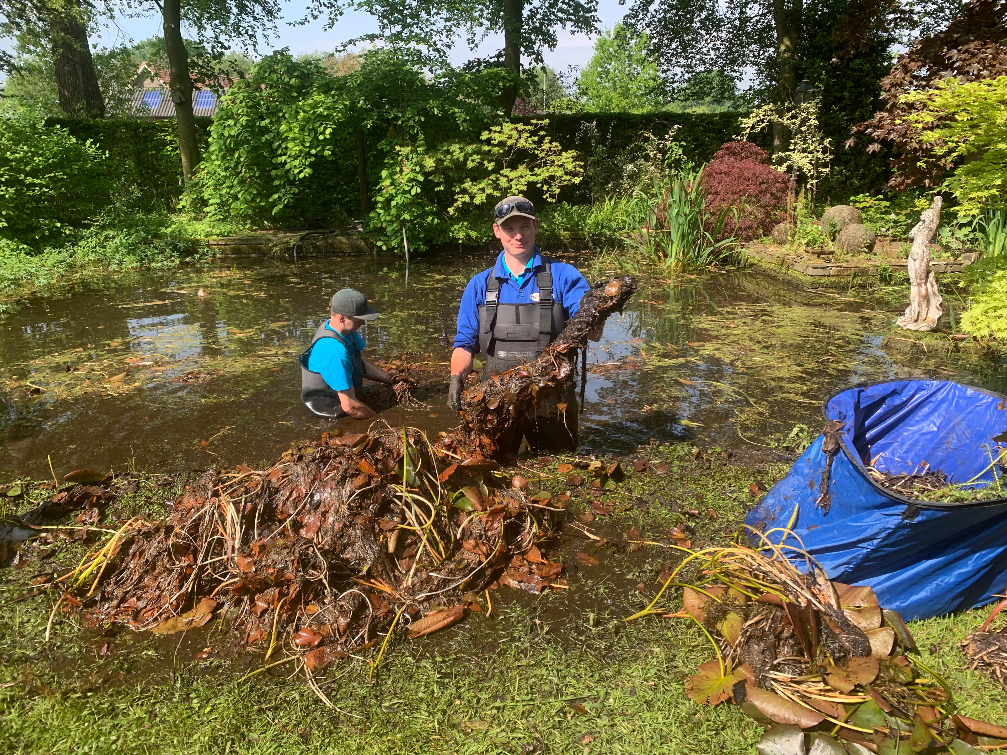 Beplantingsplan vijver