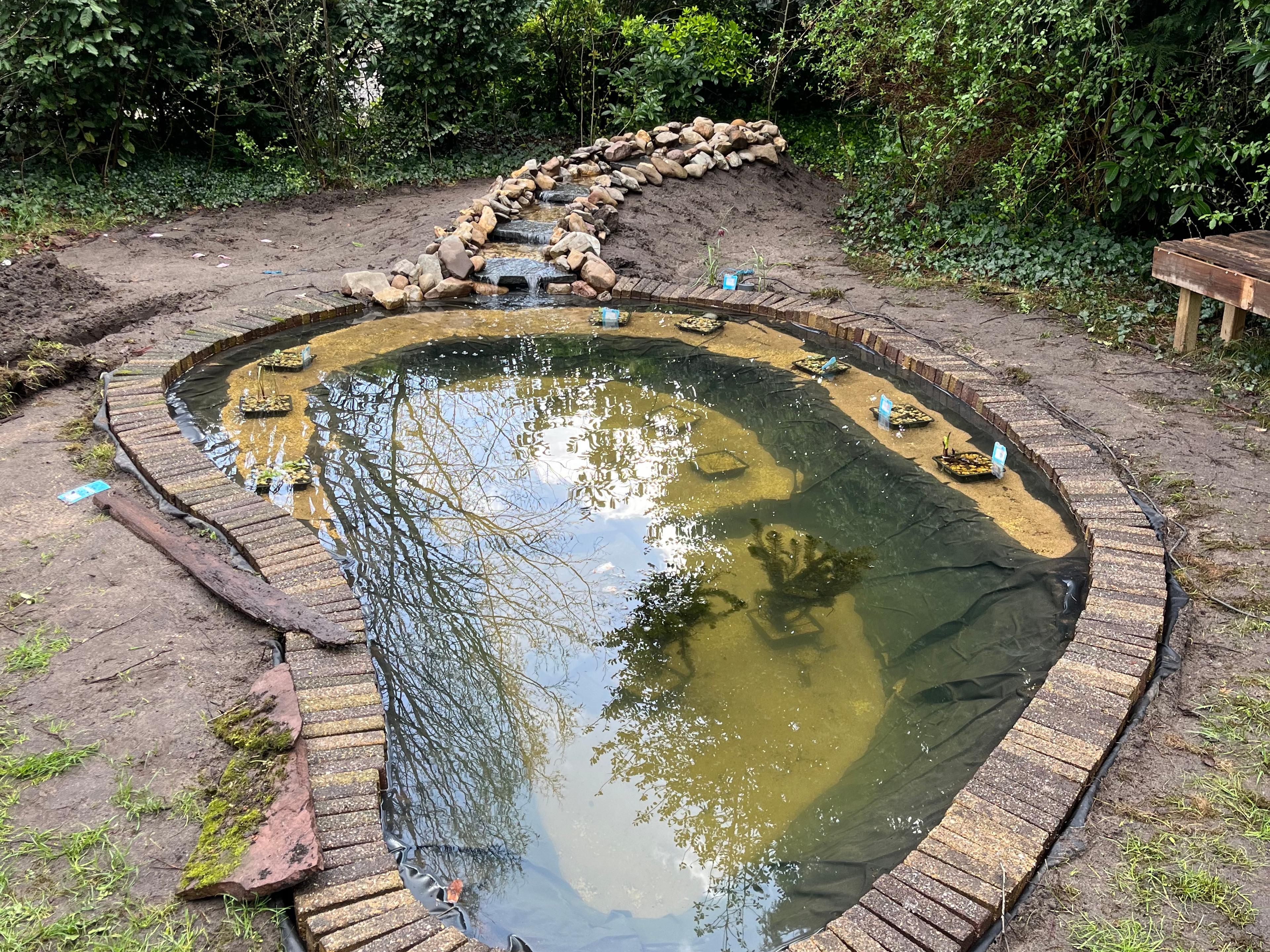 Organical pond