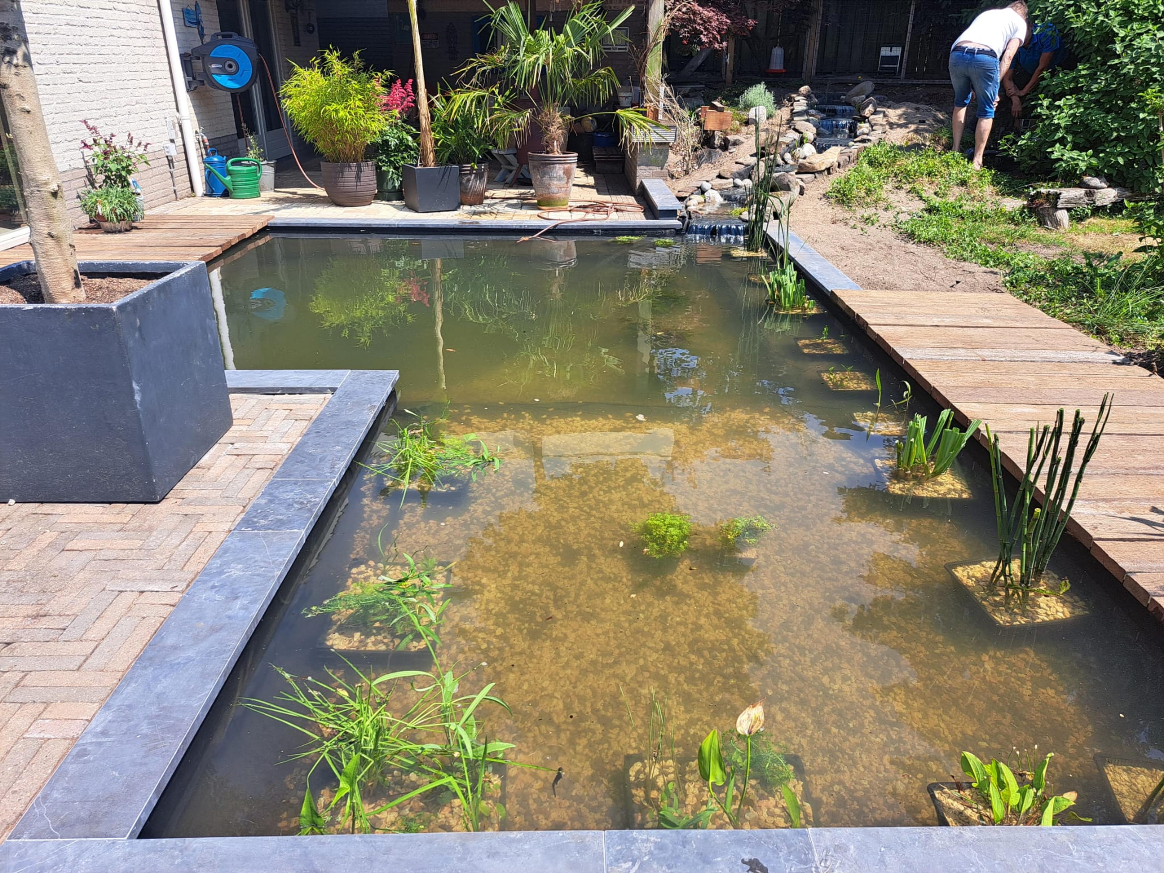 Modern pond