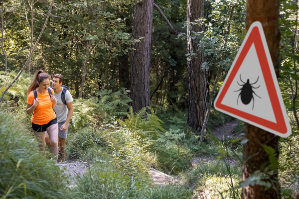 Man and woman hiking in Infected ticks forest with warning sign. Risk of tick-borne and lyme disease