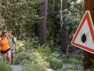 Man and woman hiking in Infected ticks forest with warning sign. Risk of tick-borne and lyme disease
