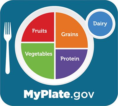 MyPlate.gov daily dietary distribution of the 5 food groups