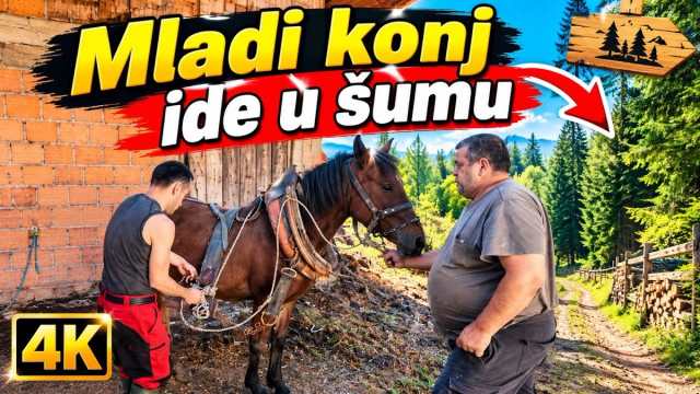 Ibrahim Smajić opet psuje Boga. Salihu kaže: afekat ga ufatio