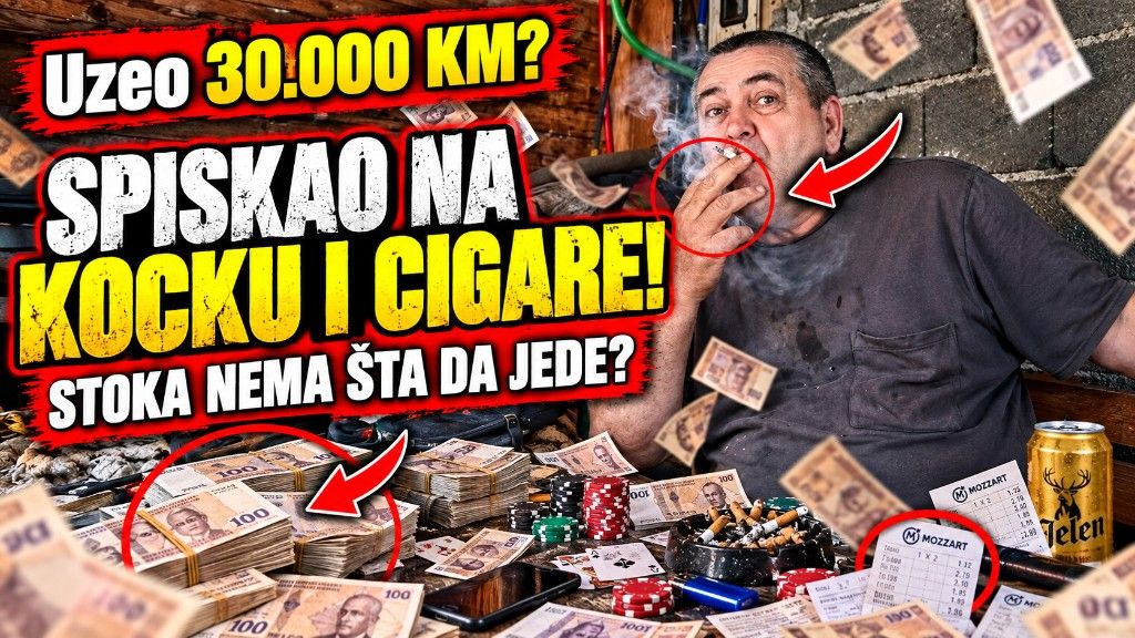 Urednička ilustracija: 30.000 KM, cigare, kocka, pitanje o hrani za stoku