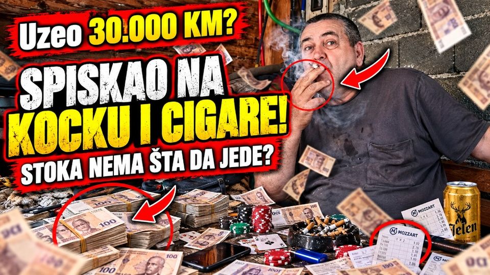 Urednička ilustracija: 30.000 KM, cigare, kocka, pitanje o hrani za stoku
