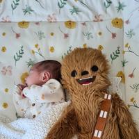 Lisa: Nuestro bebé recién nacido seguía poniéndose pálido...