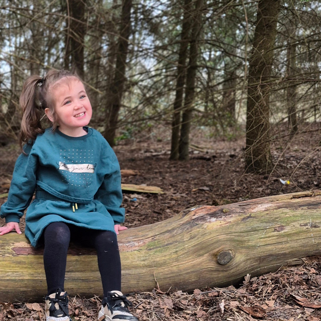 Artikel