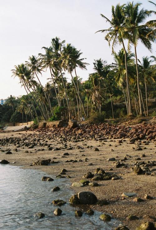 mesura, Goa Journal: (Thumbnail)