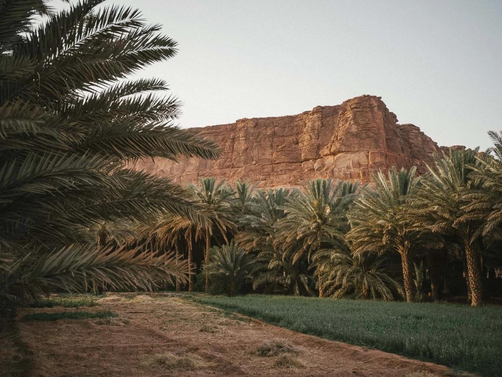 mesura AlUla Journal