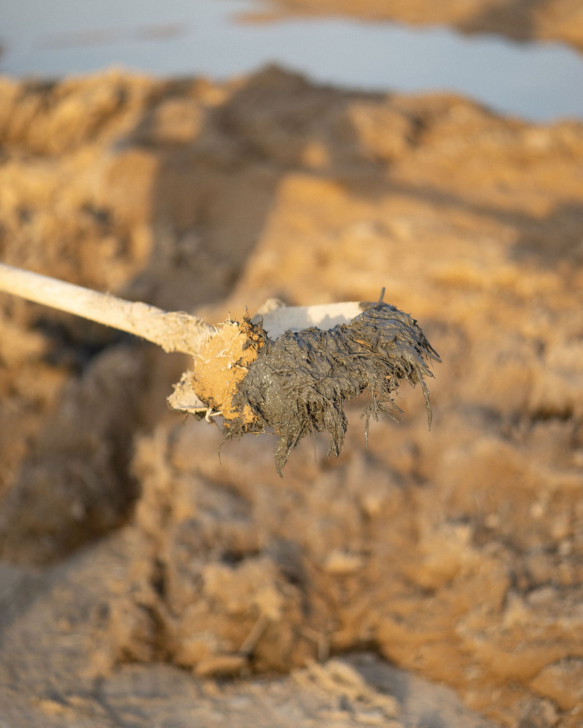 mesura, studio: null (Slide 2)