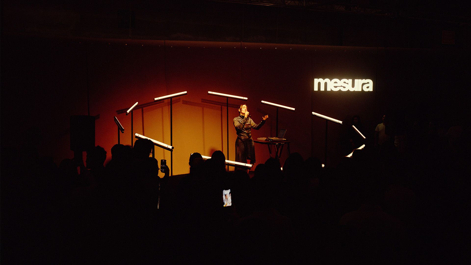 mesura, intro: Fig. 11