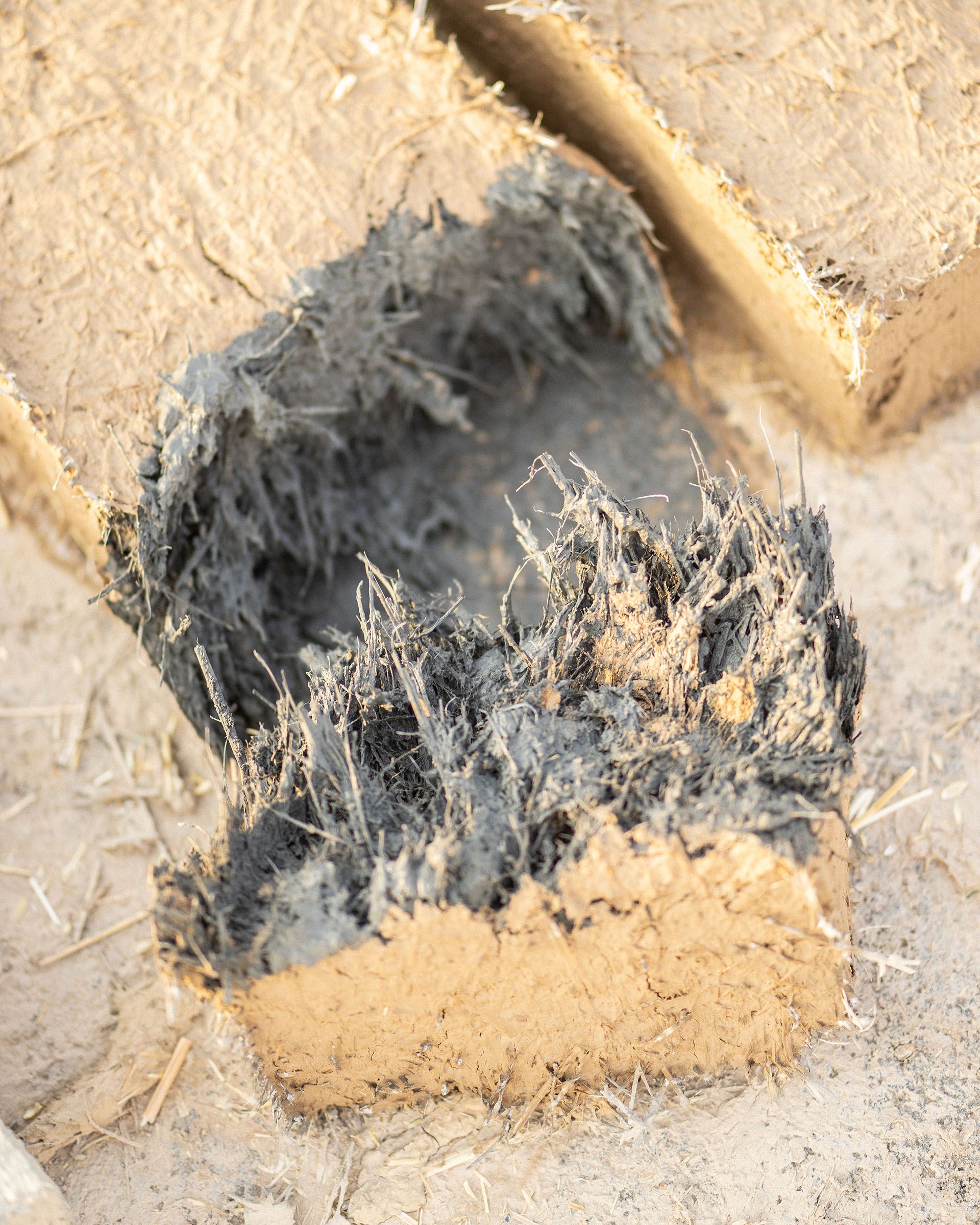 mesura, studio: null (Slide 3)