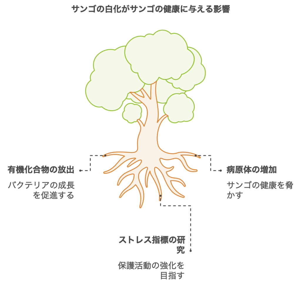 サンゴの白化対策に新たな希望:熱ストレス耐性微生物の発見と応用