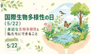 国際生物多様性の日（5/22）｜身近な生物多様性と私たちにできること
