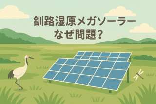 【専門家解説】釧路湿原メガソーラーなぜ問題?冨永愛さんらの声から考えるSDGsのジレンマ