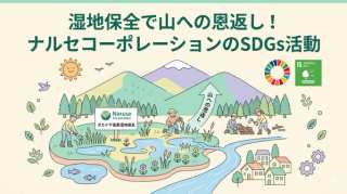 湿地保全で山への恩返し！ナルセコーポレーションのSDGs活動と私たちにできること