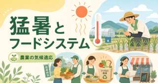 猛暑と農業・フードシステムのレジリエンス｜中小企業ができる気候適応【2026】