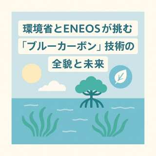 【深掘り解説】海藻を育てて深海に沈める?環境省とENEOSが挑む「ブルーカーボン」技術の全貌と未来