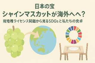 日本の宝シャインマスカットが海外へ？栽培権ライセンス問題から見るSDGsと私たちの食卓