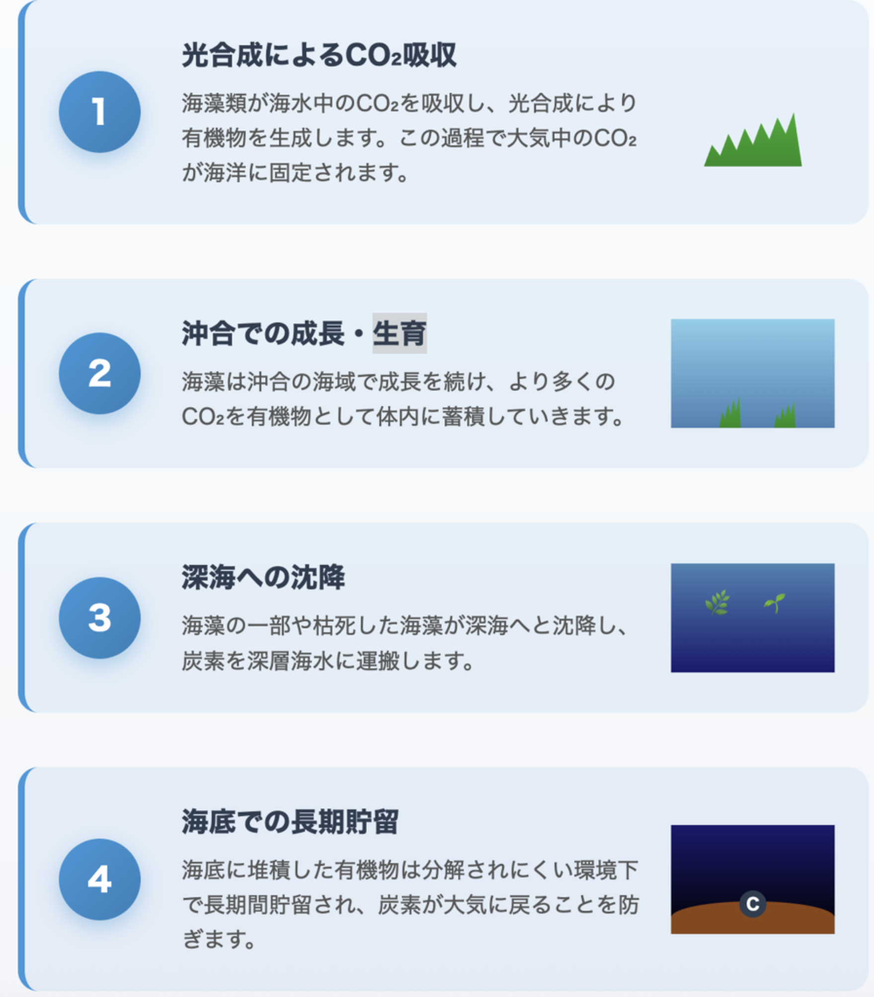 【深掘り解説】海藻を育てて深海に沈める？環境省とENEOSが挑む「ブルーカーボン」技術の全貌と未来
