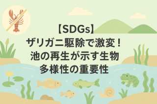 【SDGs】ザリガニ駆除で激変！池の再生が示す生物多様性の重要性