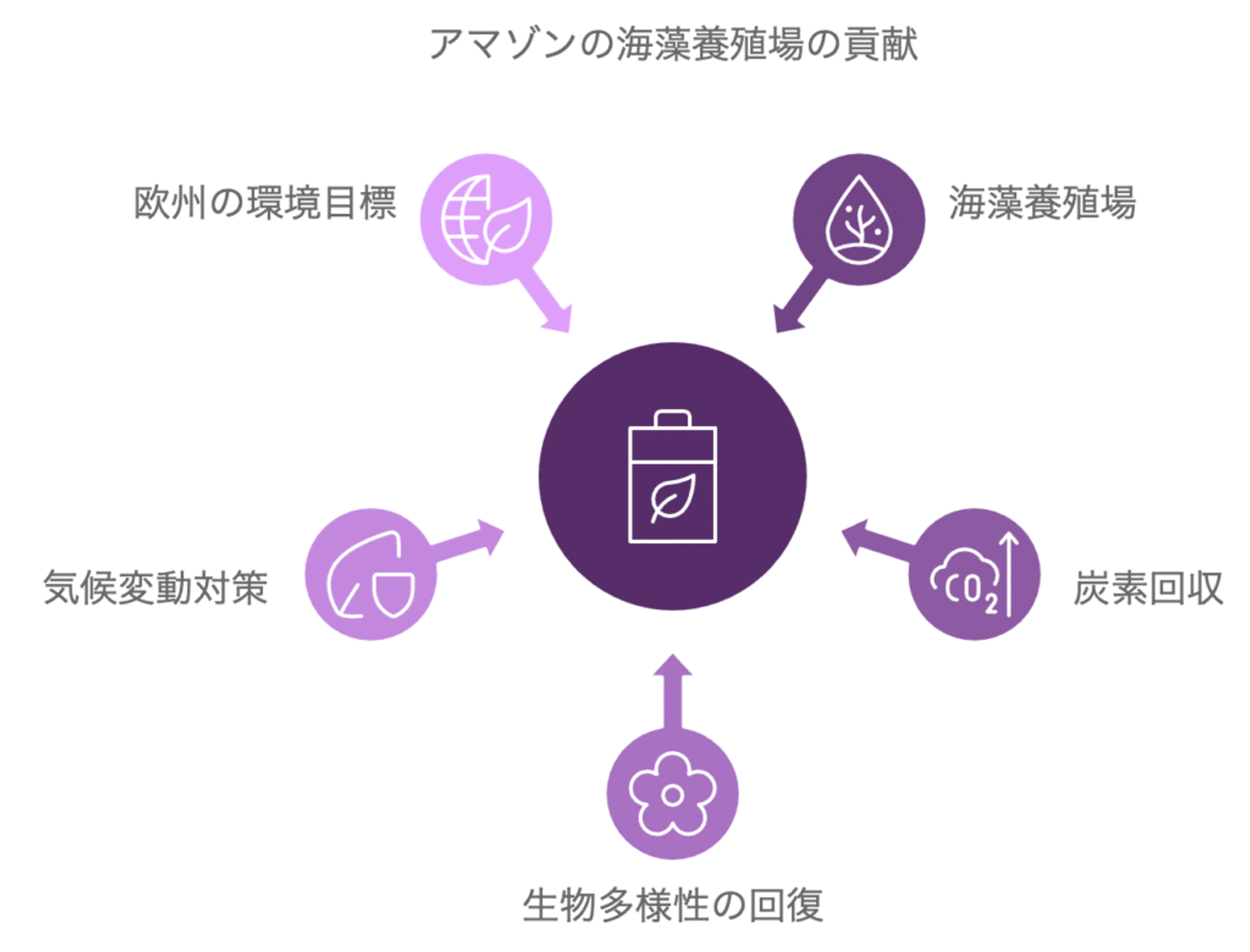 アマゾン、海藻養殖で脱炭素化へ！商業規模の海洋農場でCO2削減を目指す