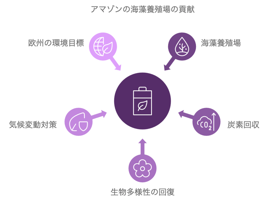 アマゾン、海藻養殖で脱炭素化へ!商業規模の海洋農場でCO2削減を目指す