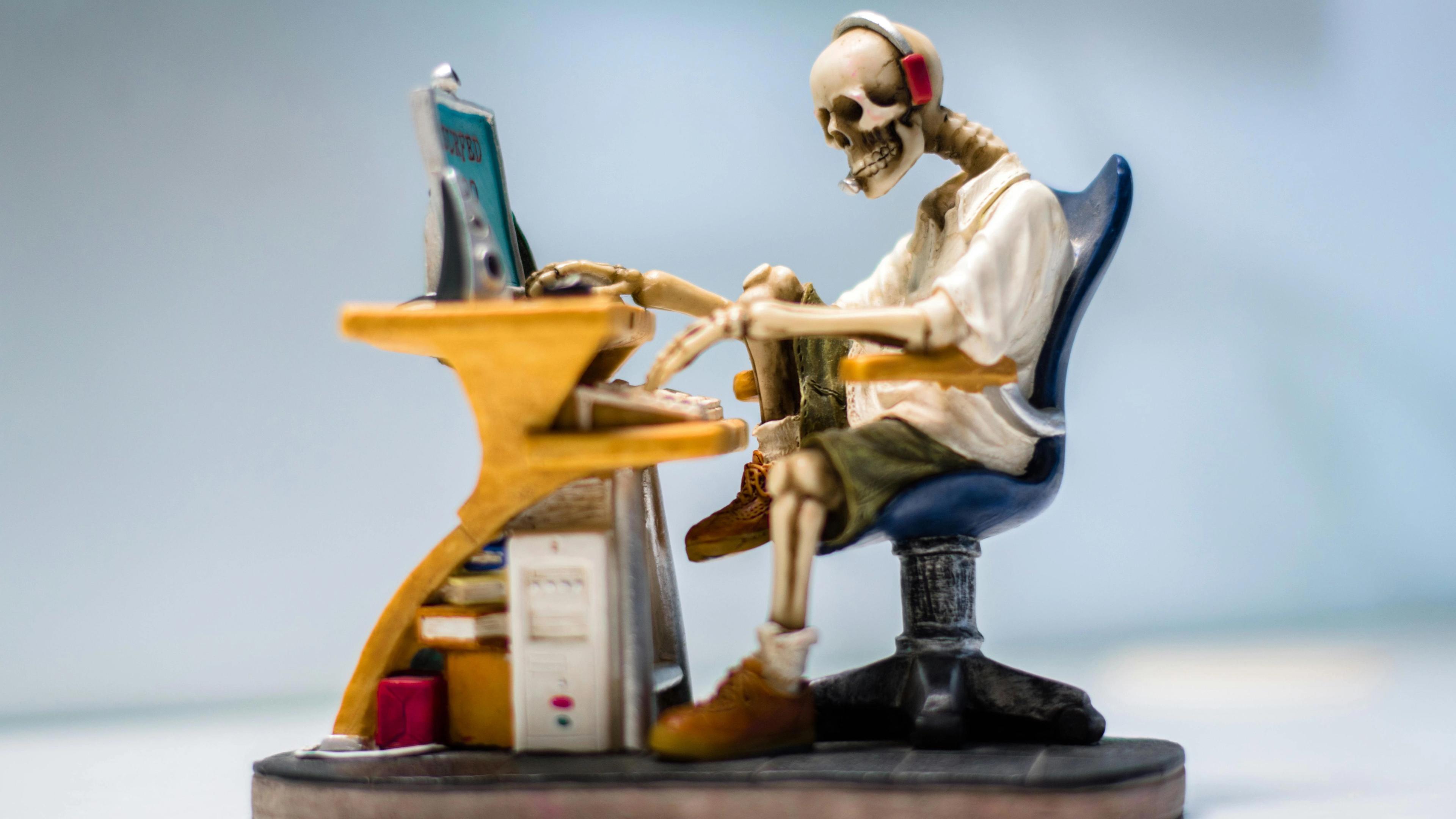pexels code monkey