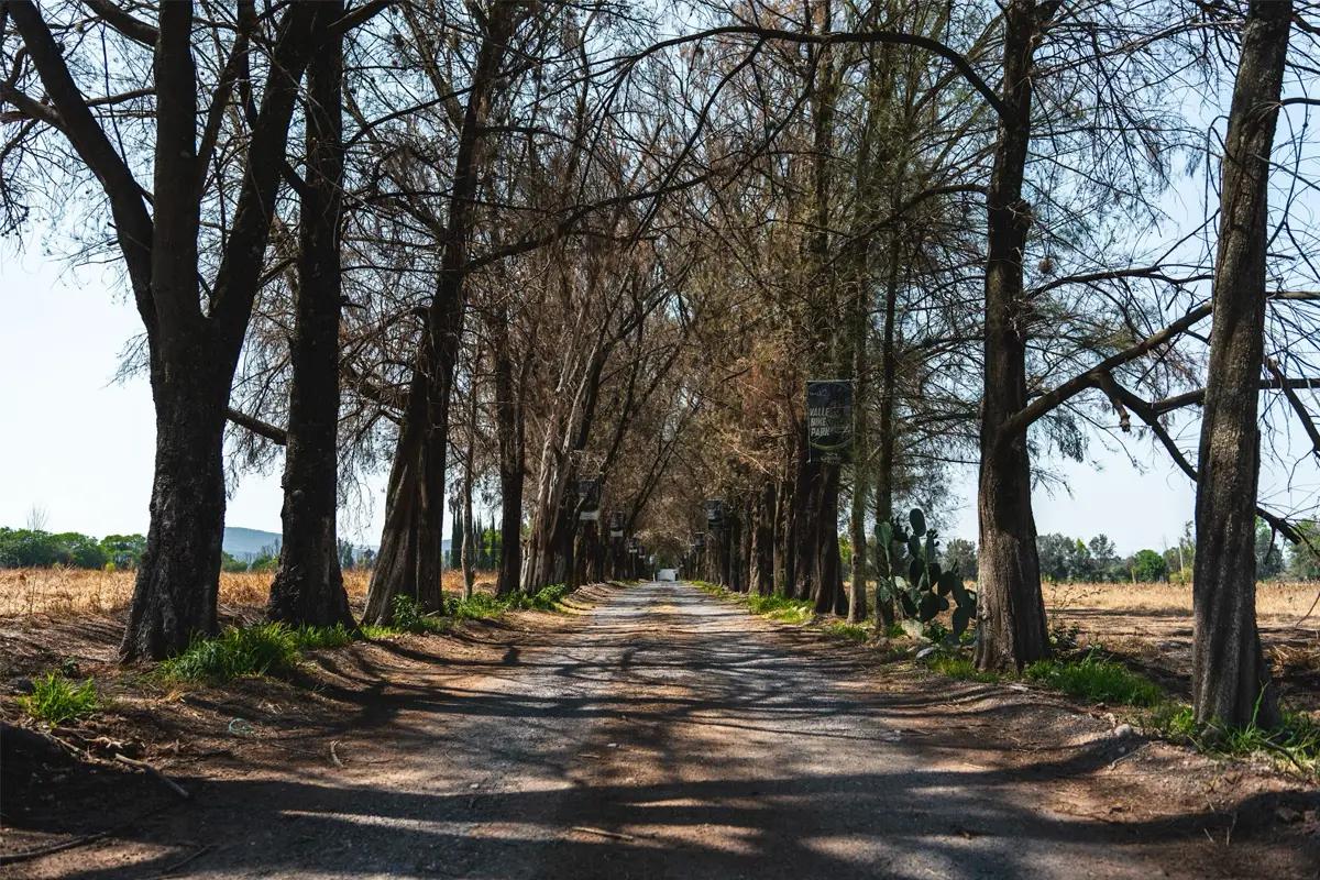 Cañadas del Valle – PREVENTA Lotes residenciales en Querétaro - 8