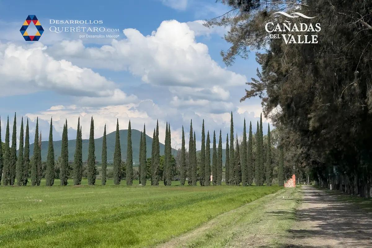 Cañadas del Valle – PREVENTA Lotes residenciales en Querétaro - 3