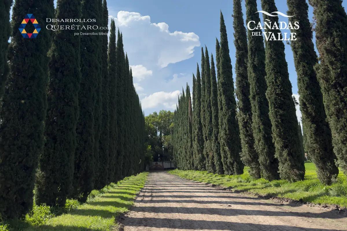 Cañadas del Valle – PREVENTA Lotes residenciales en Querétaro - 2