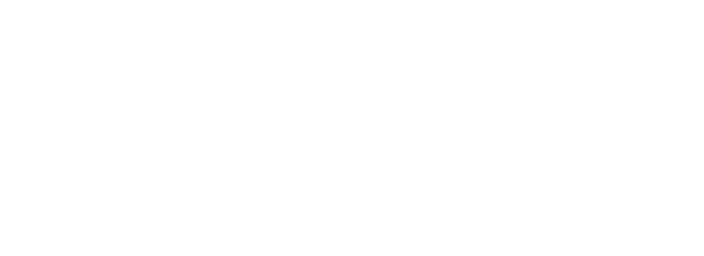 Dienas Bizness