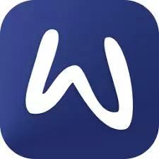 WiseyLogo