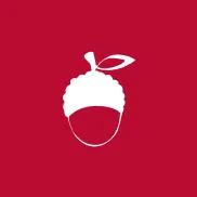 Lychee Logo