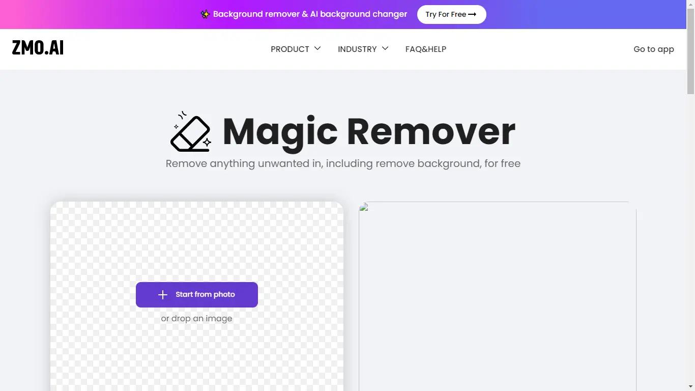 Remover Website