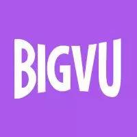 Bigvu Logo