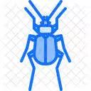 Aphid Logo