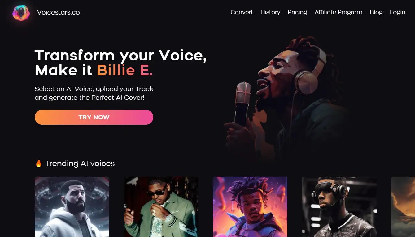 VoicestarsWebsite Screenshot