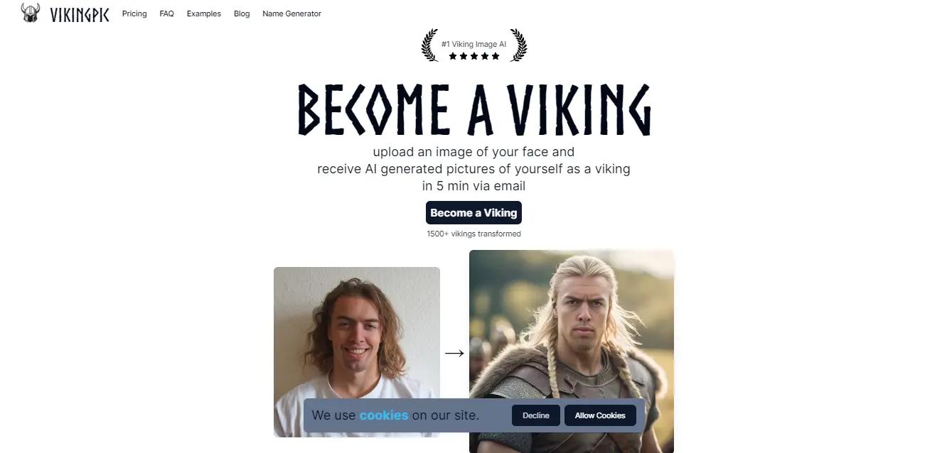 VikingPicWebsite Screenshot