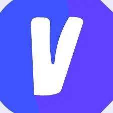 VidAULogo