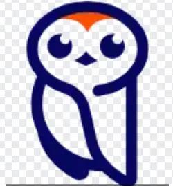 Owl at Work Logo