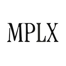 MiniPerplx Logo