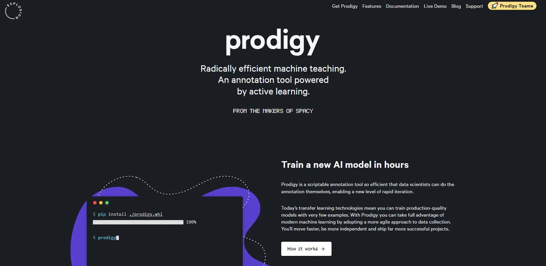 ProdigyWebsite Screenshot