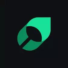 Mintlify Logo