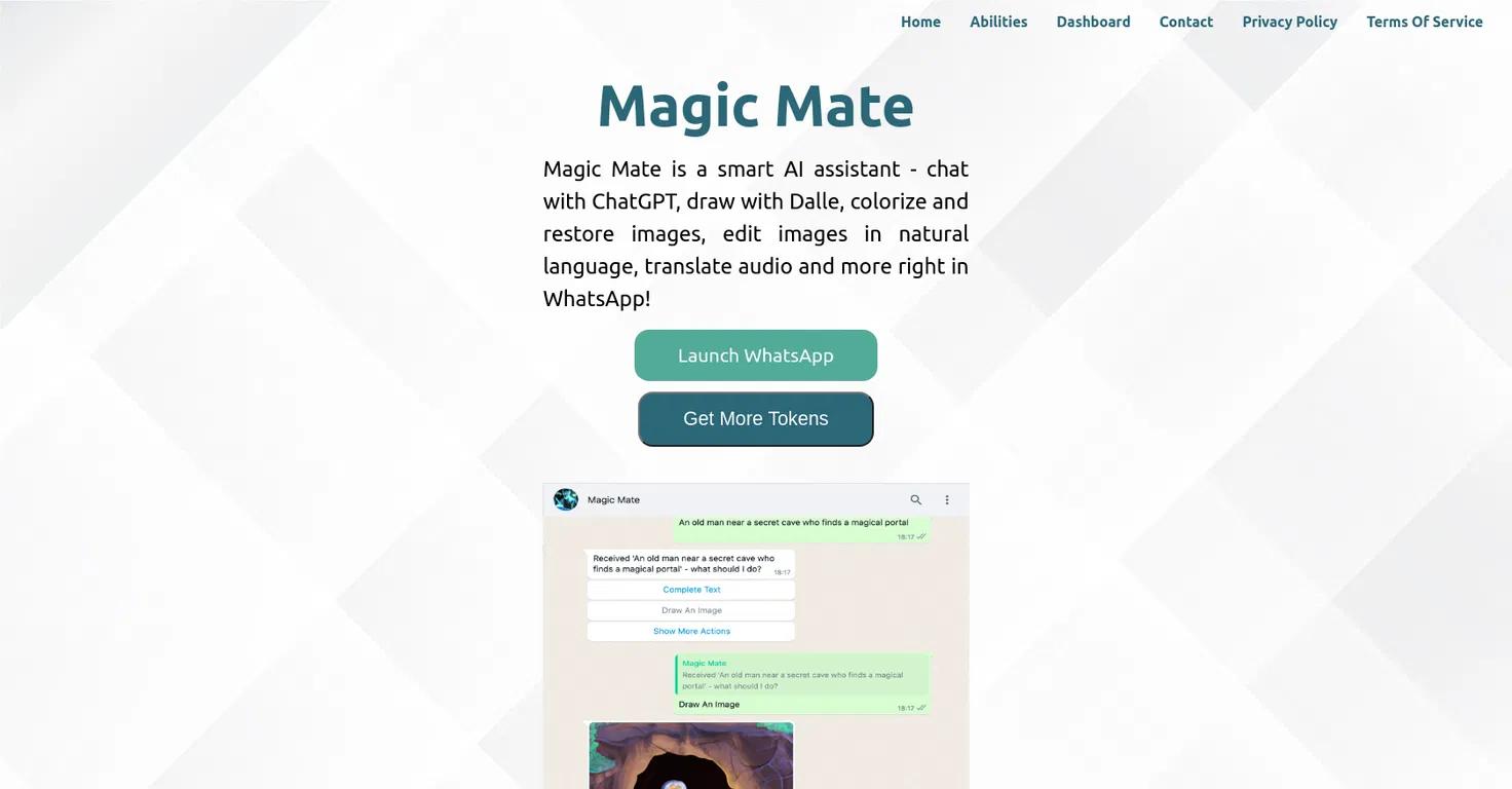 Magic MateWebsite Screenshot