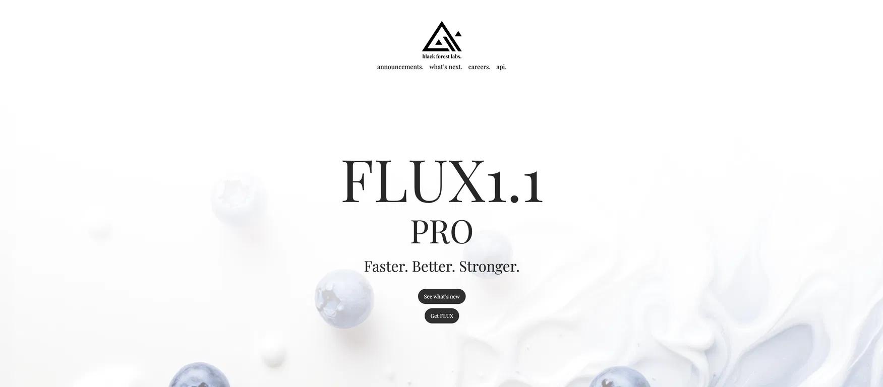 FLUXWebsite Screenshot