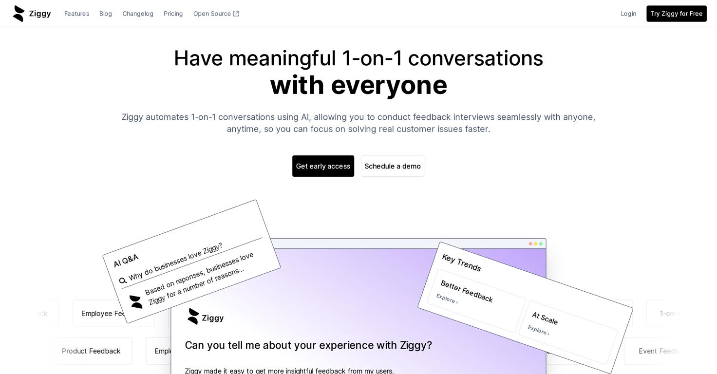 ZiggyWebsite Screenshot