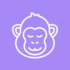 CopyMonkeyLogo