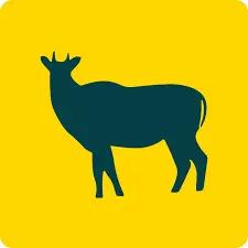 NilgAI Logo